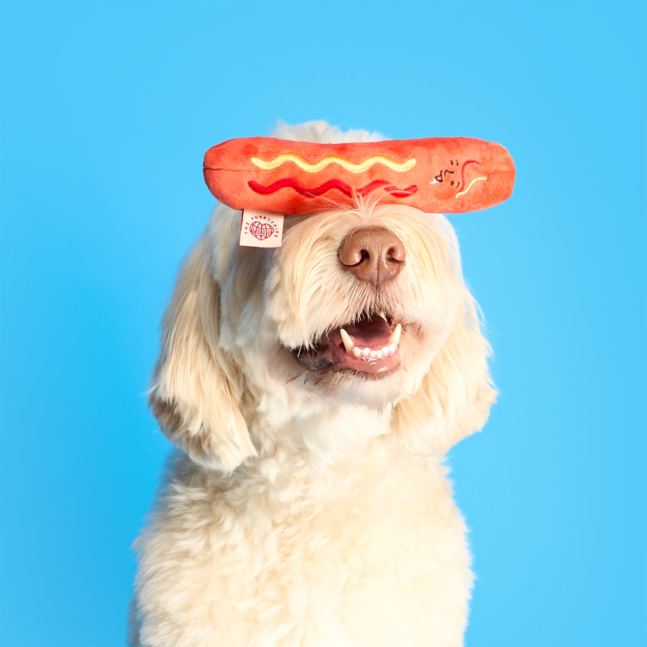 Hot Doggie Nosework Toy