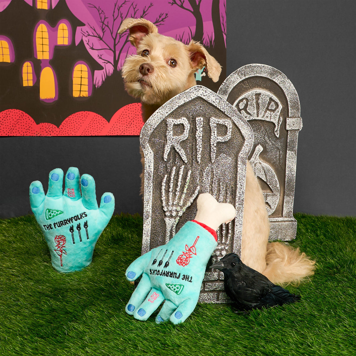 Lost Hand Nosework Dog Toy