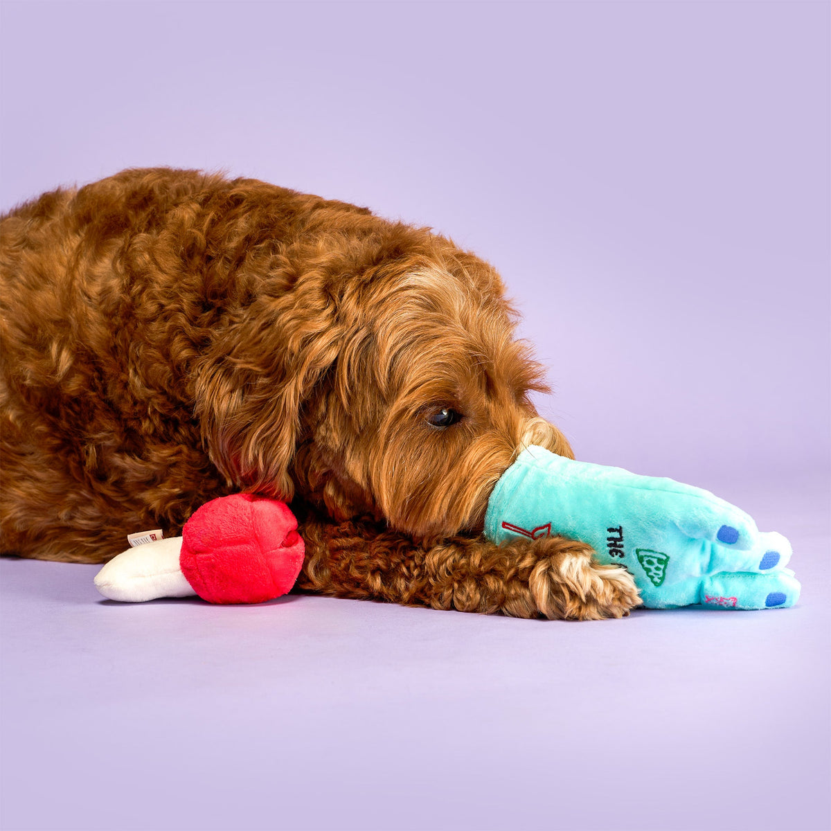 Lost Hand Nosework Dog Toy