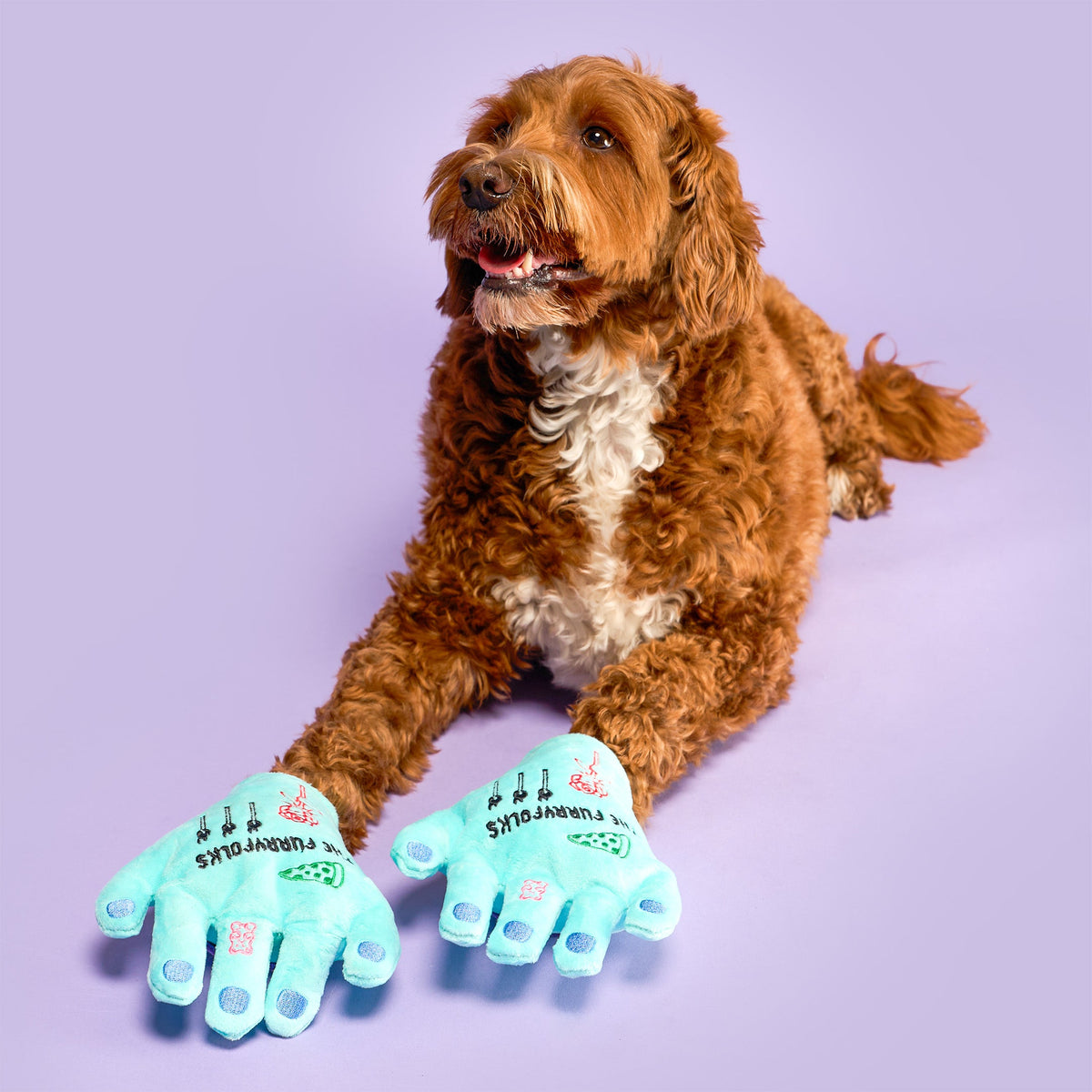 Lost Hand Nosework Dog Toy