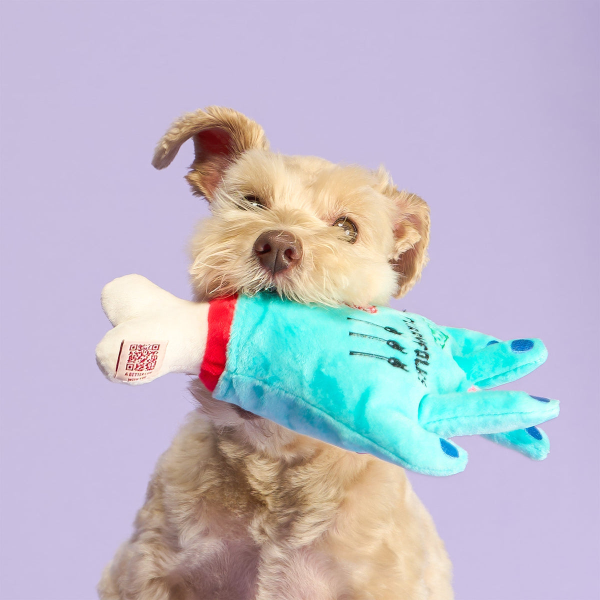 Lost Hand Nosework Dog Toy