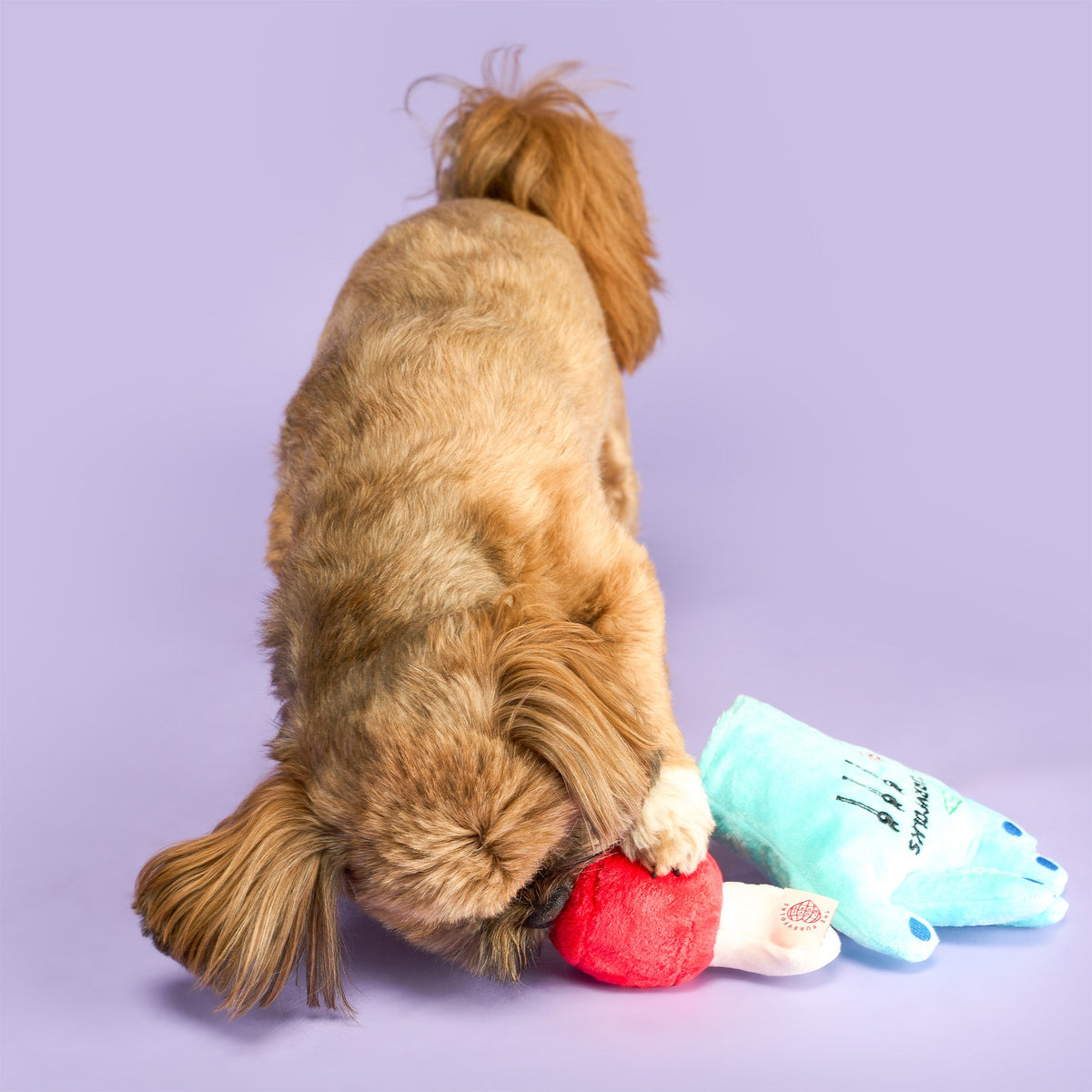 Lost Hand Nosework Dog Toy