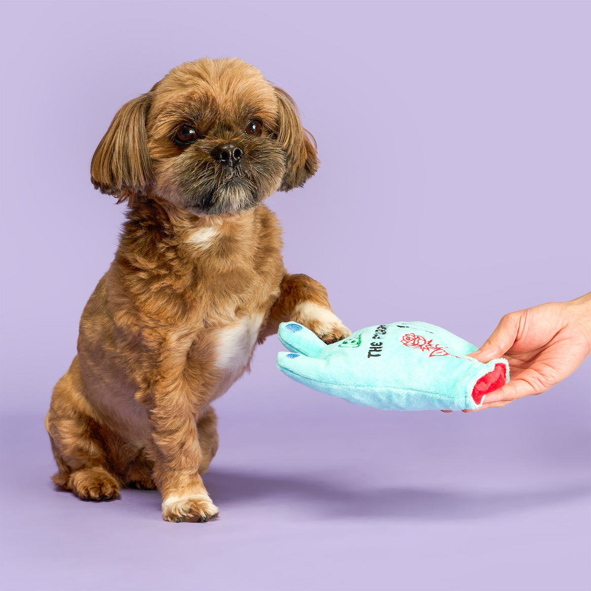 Lost Hand Nosework Dog Toy