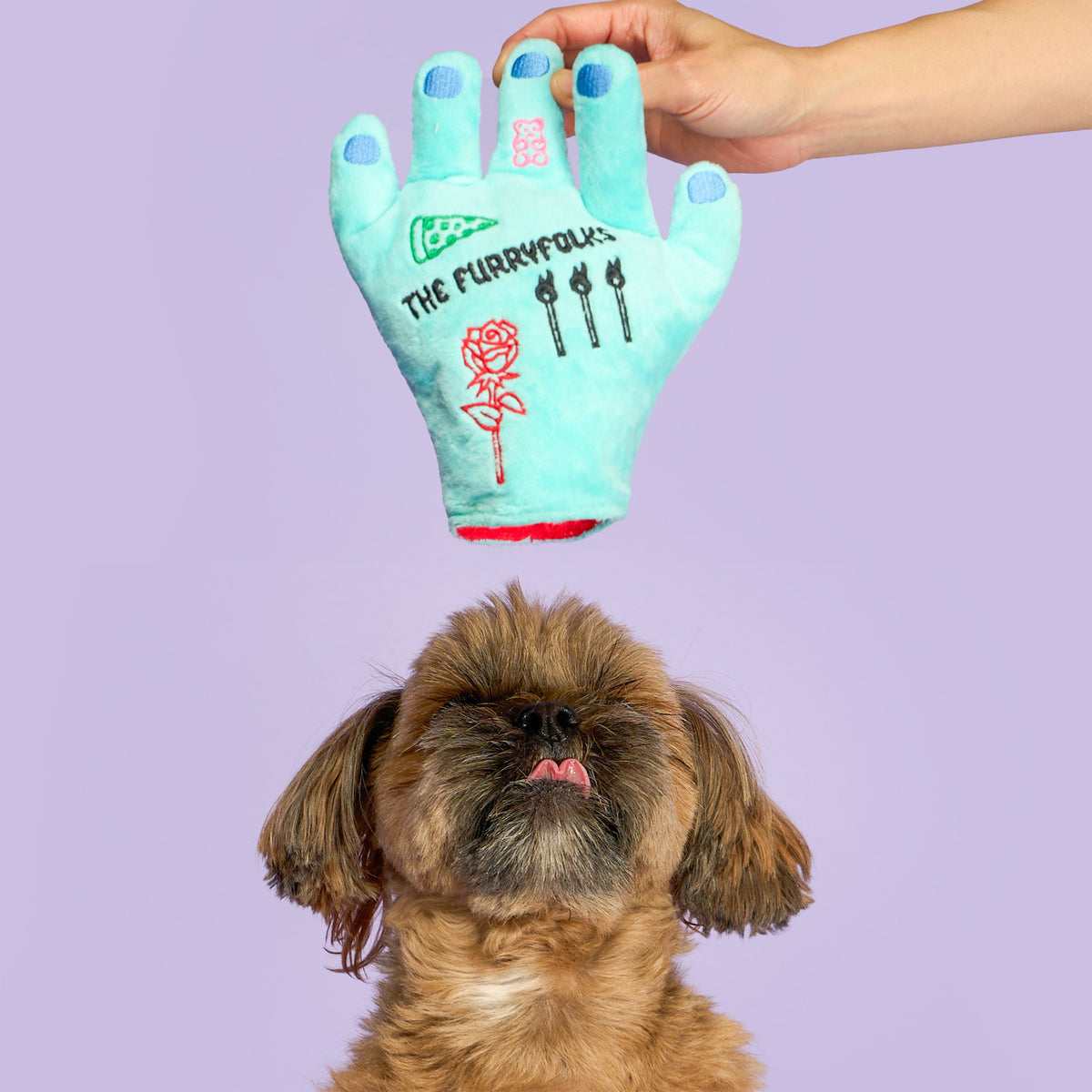Lost Hand Nosework Dog Toy
