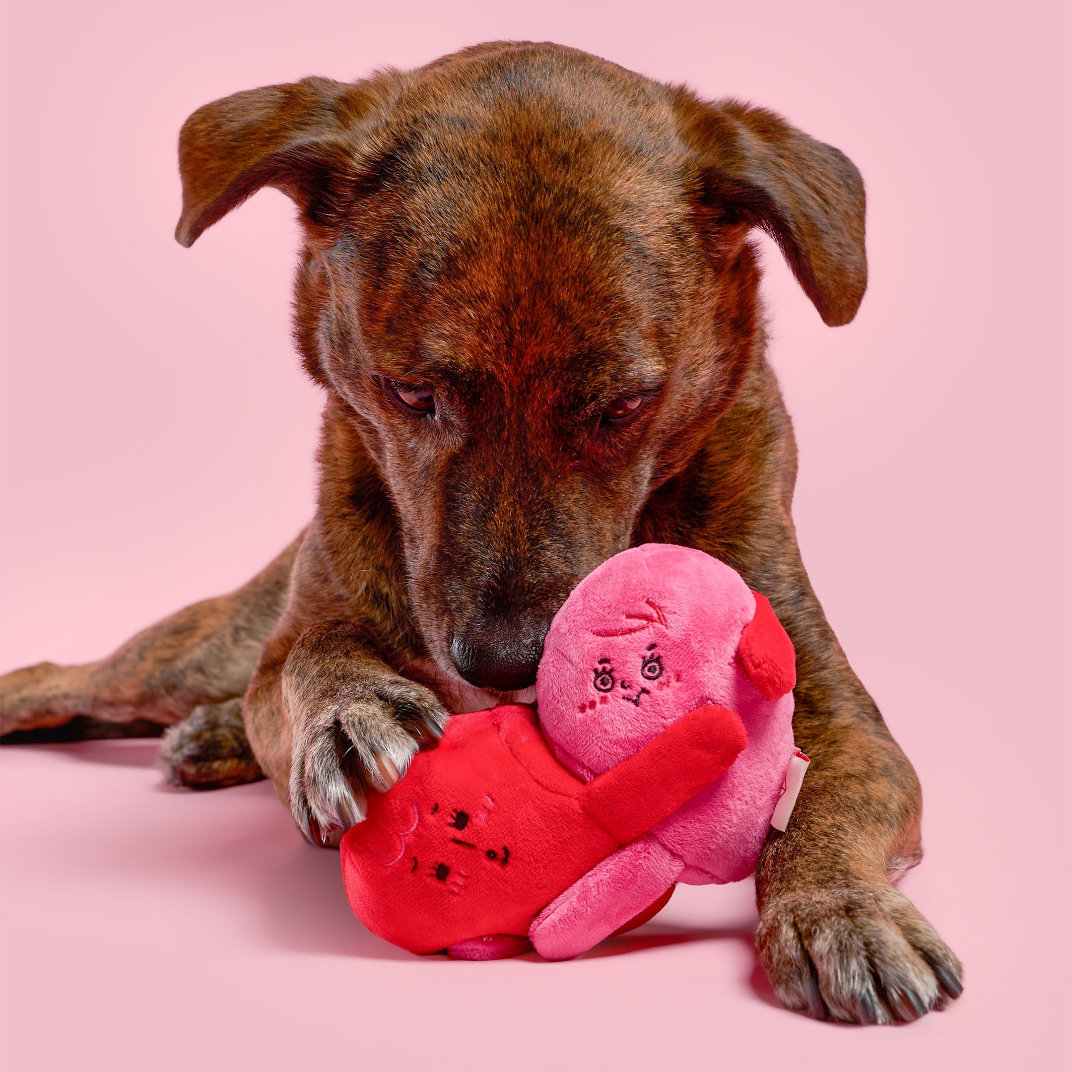 Love Locked Nosework Toy