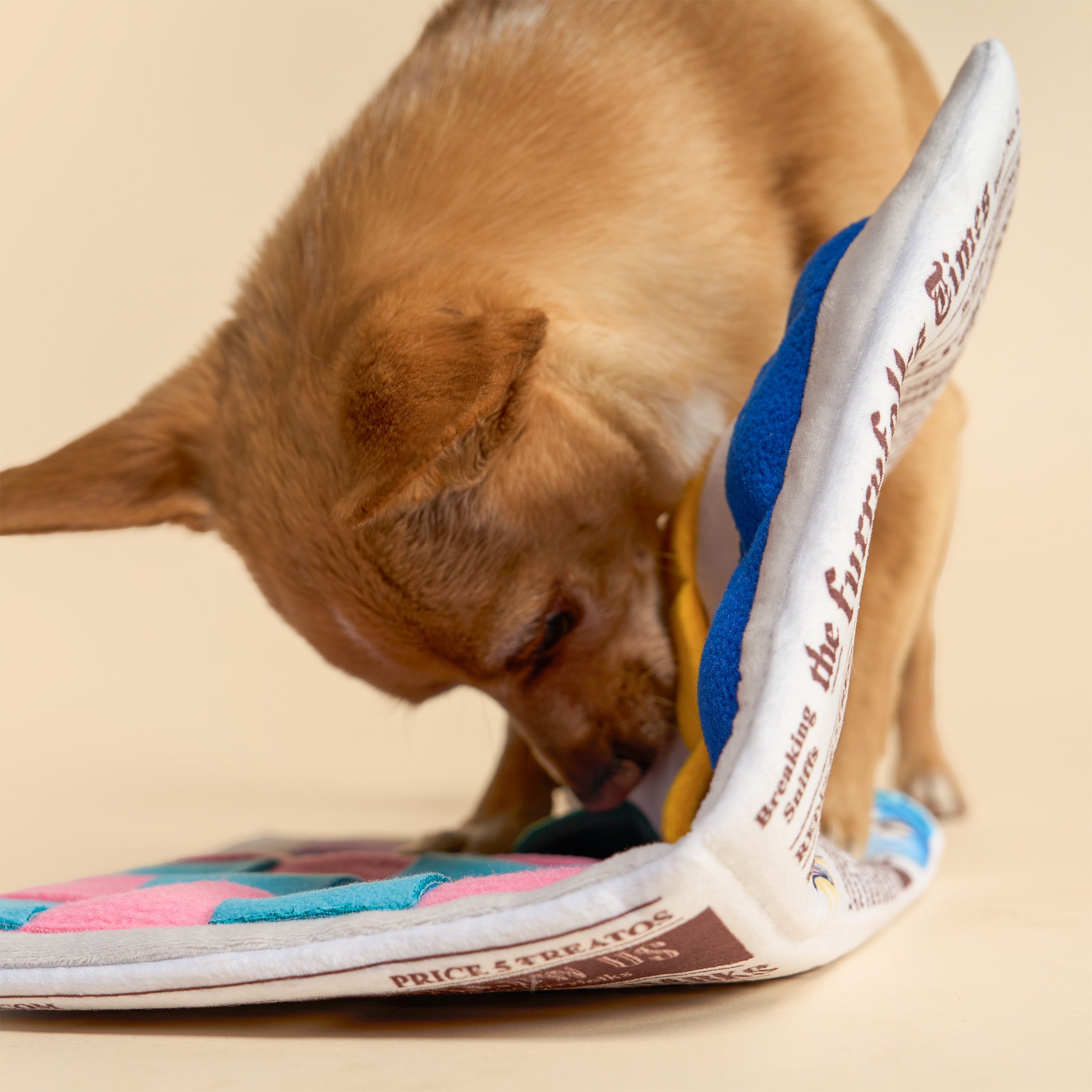 Newspaper Ver. 2 Nosework Toy