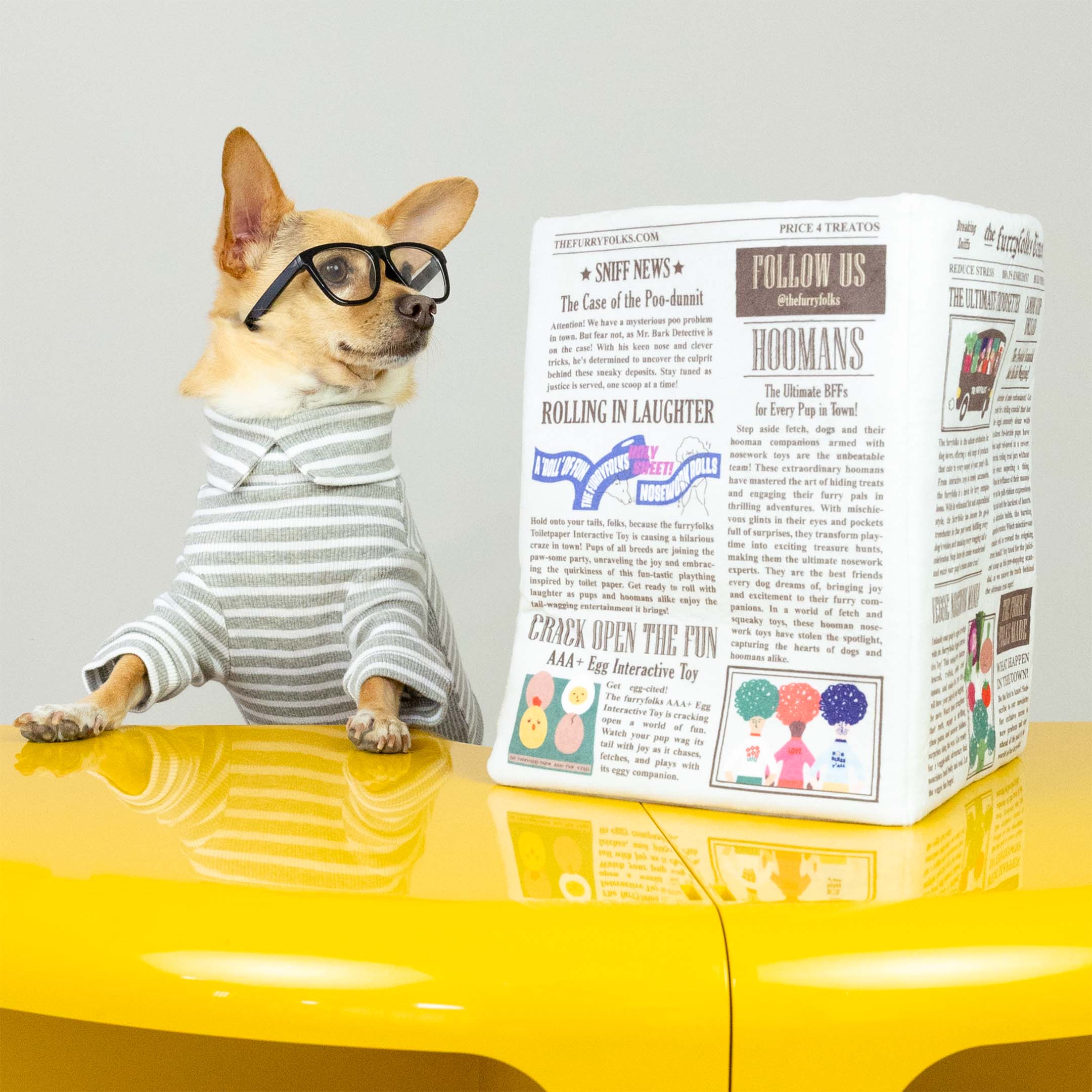 Newspaper Nosework Toy