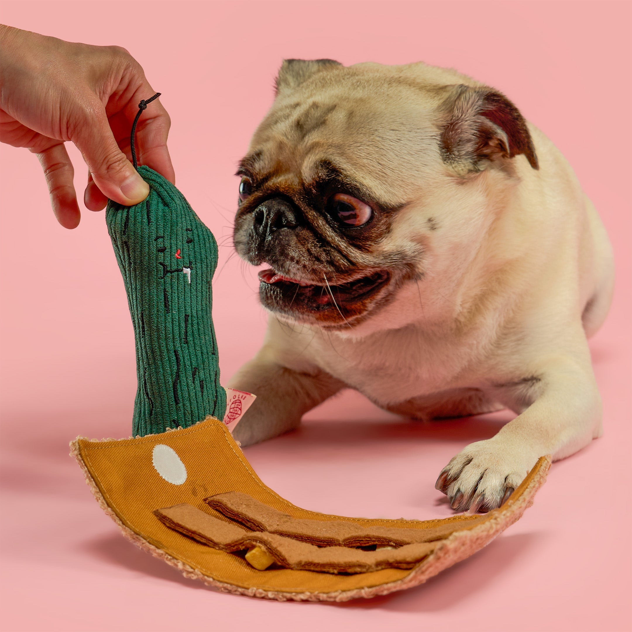 Fried Pickle Nosework Dog Toy