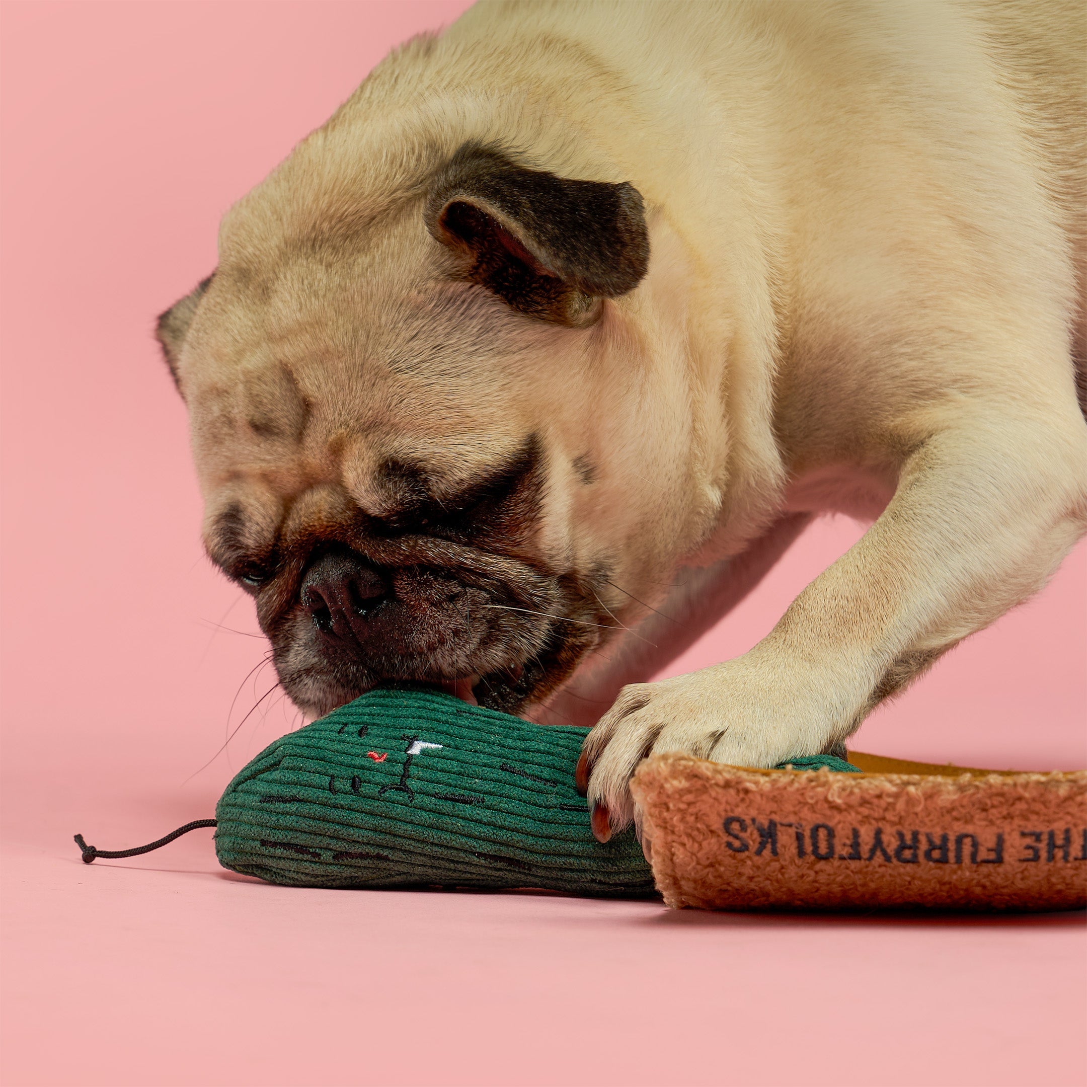 Fried Pickle Nosework Dog Toy