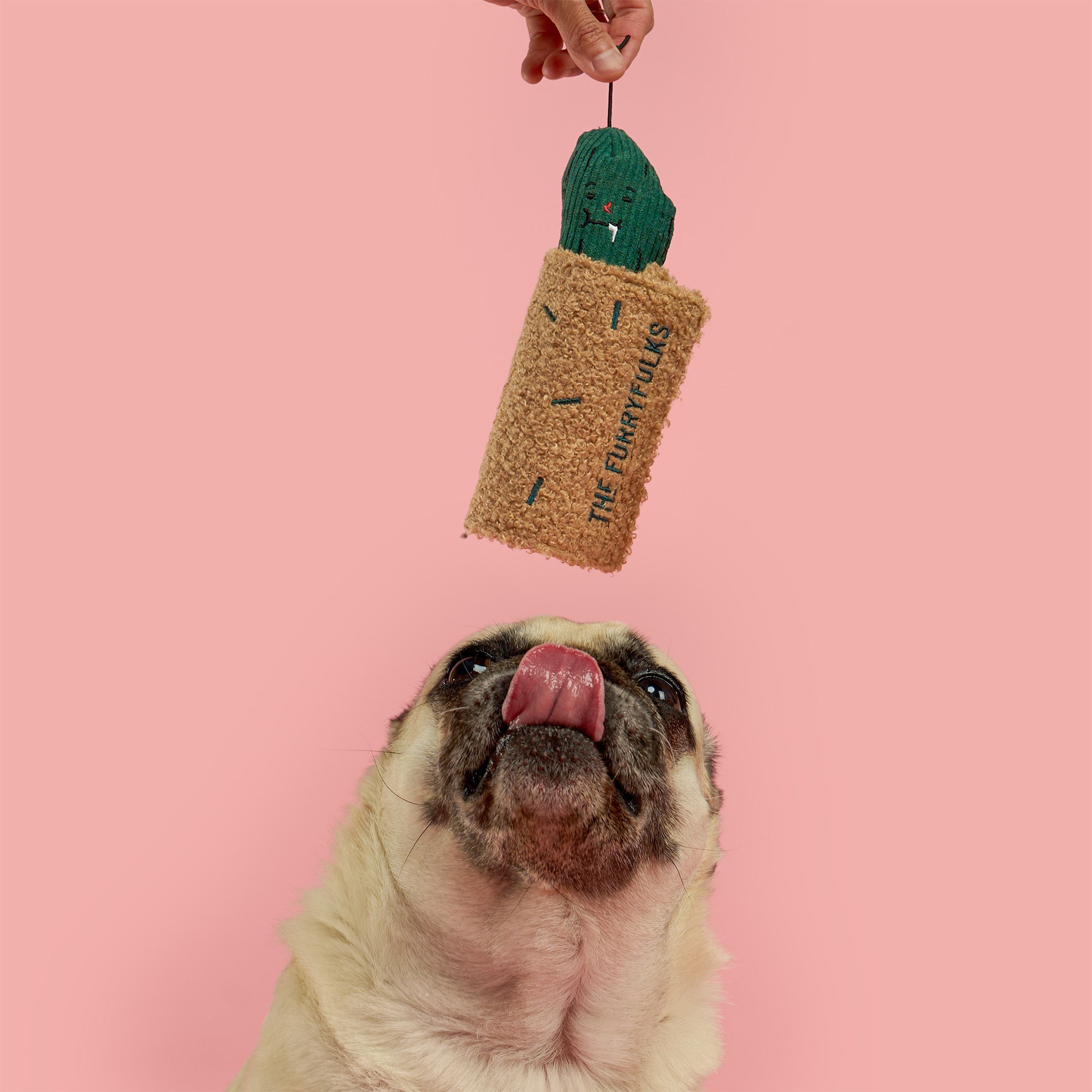 Fried Pickle Nosework Dog Toy