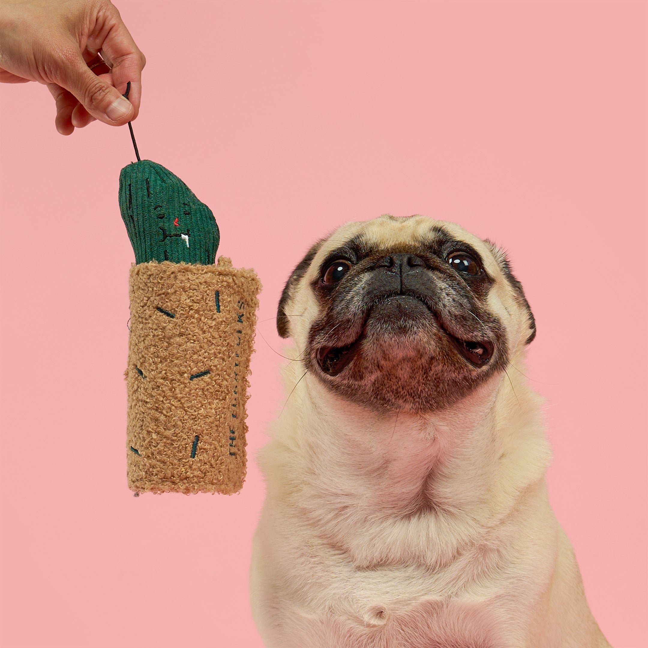 Fried Pickle Nosework Dog Toy
