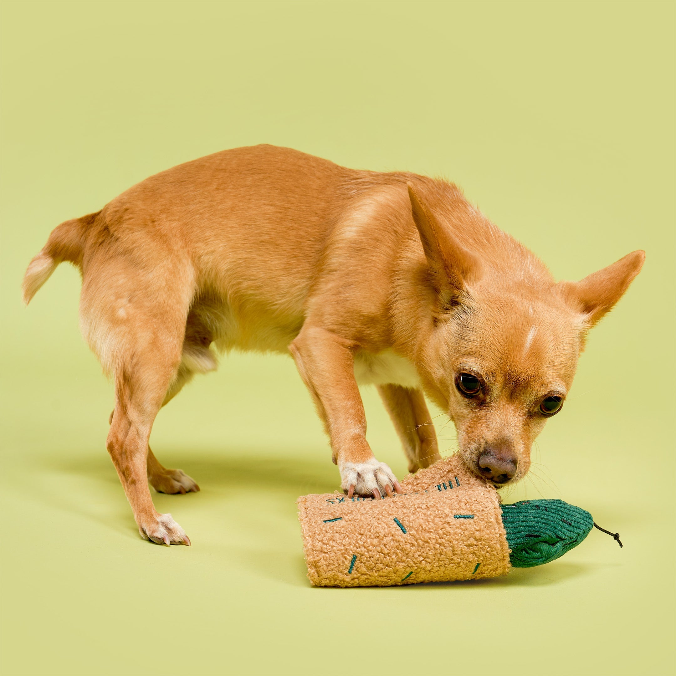 Fried Pickle Nosework Dog Toy