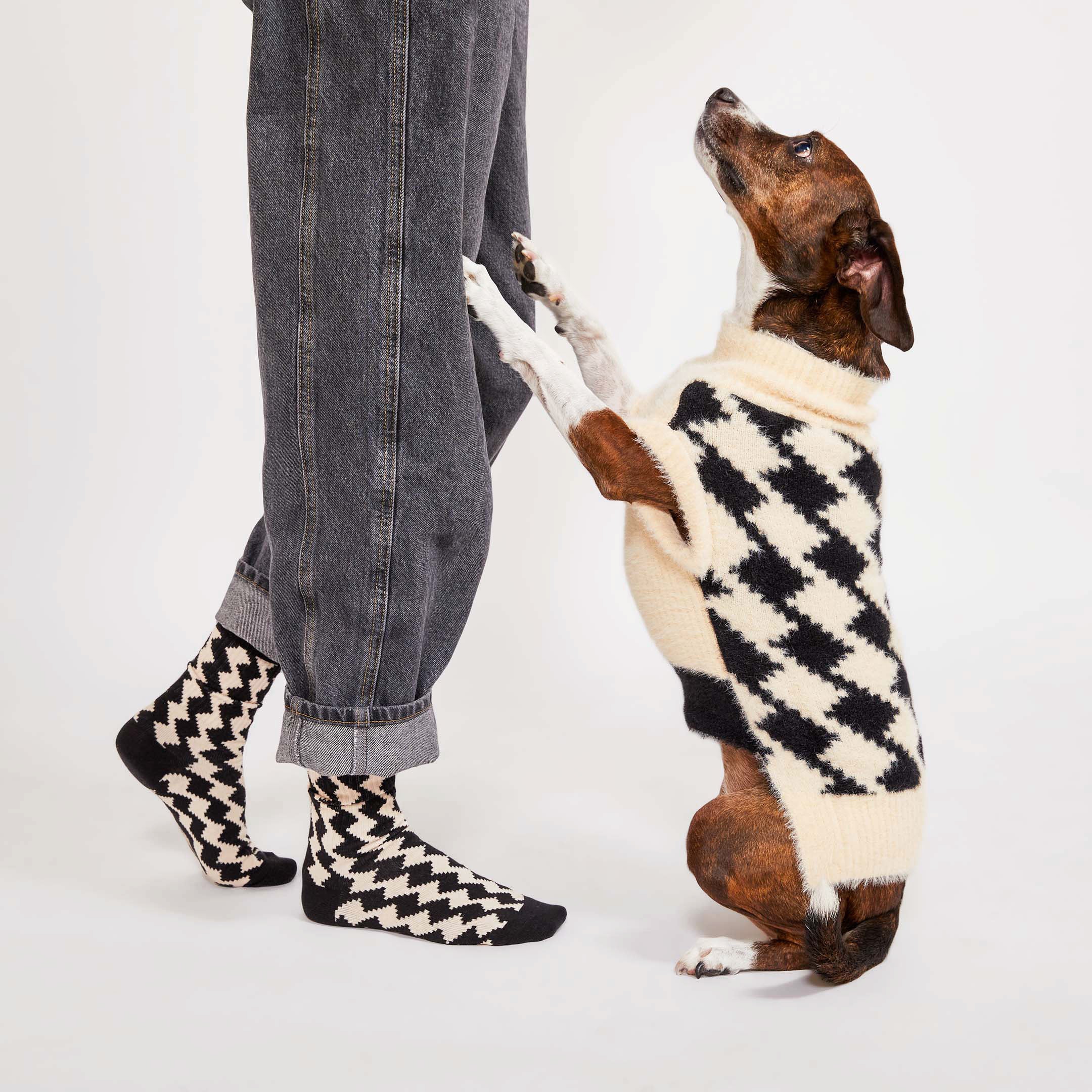 PIXMOND SOCKS – thefurryfolks.co.kr