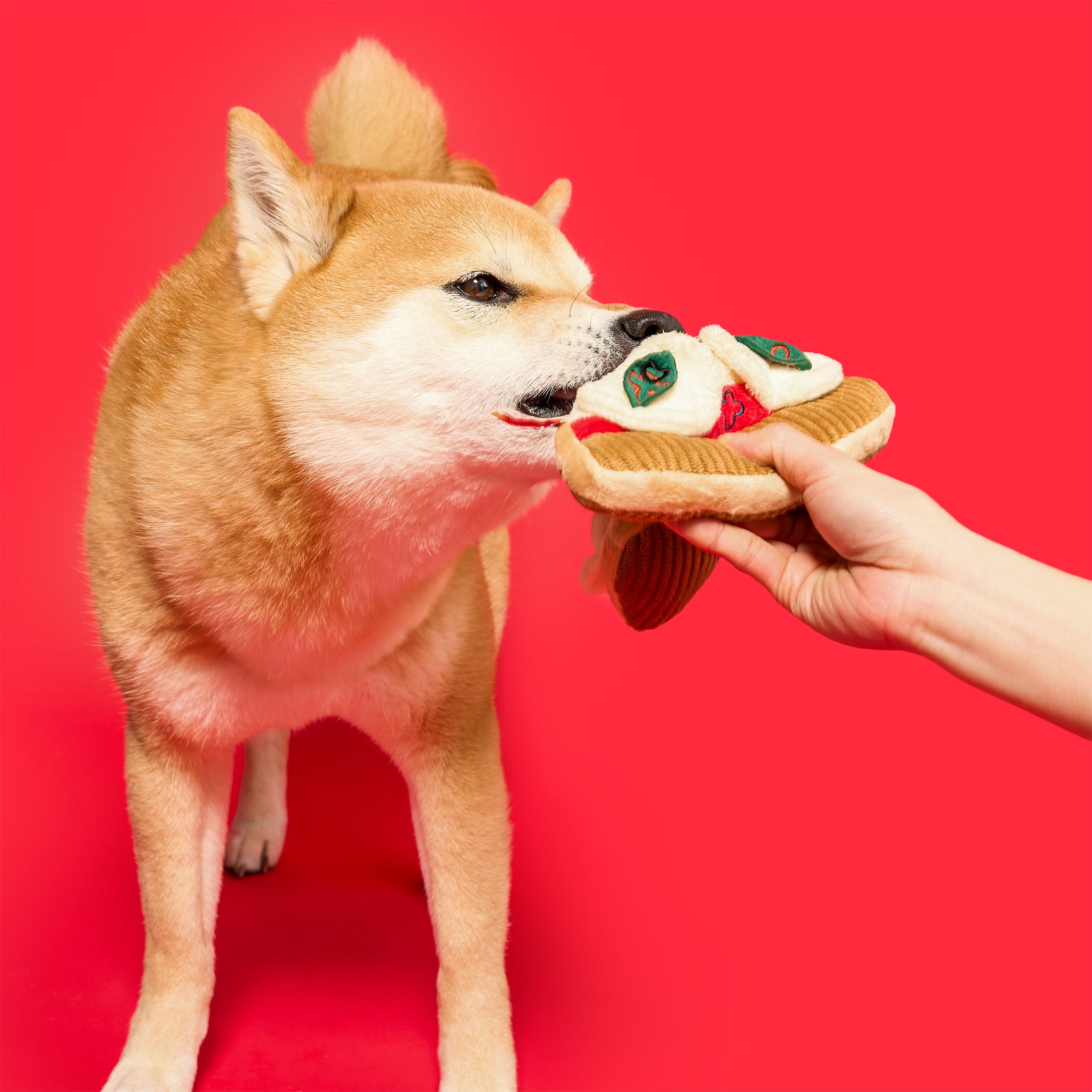 Pizza Nosework Toy