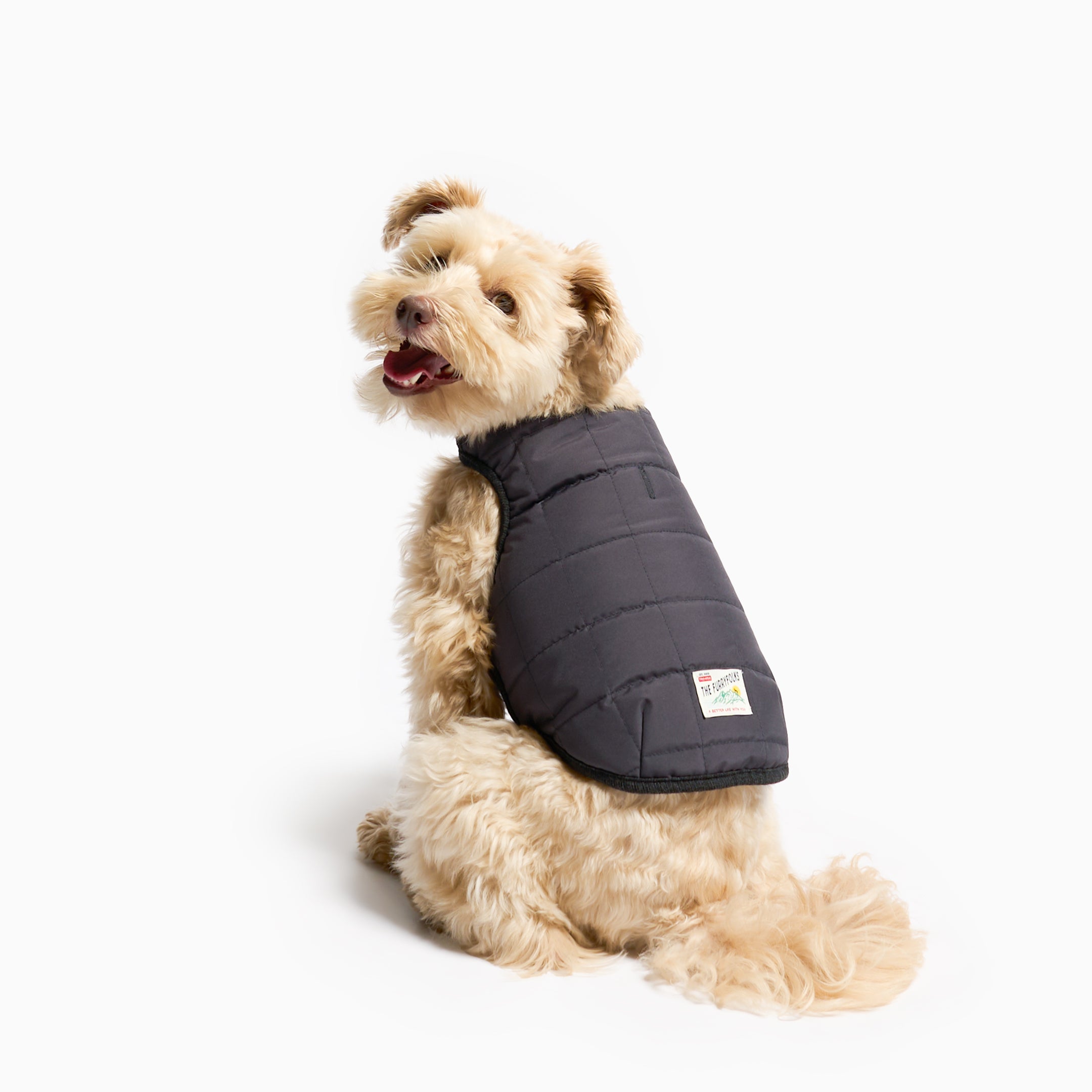 Reversible Puffer Vest Black