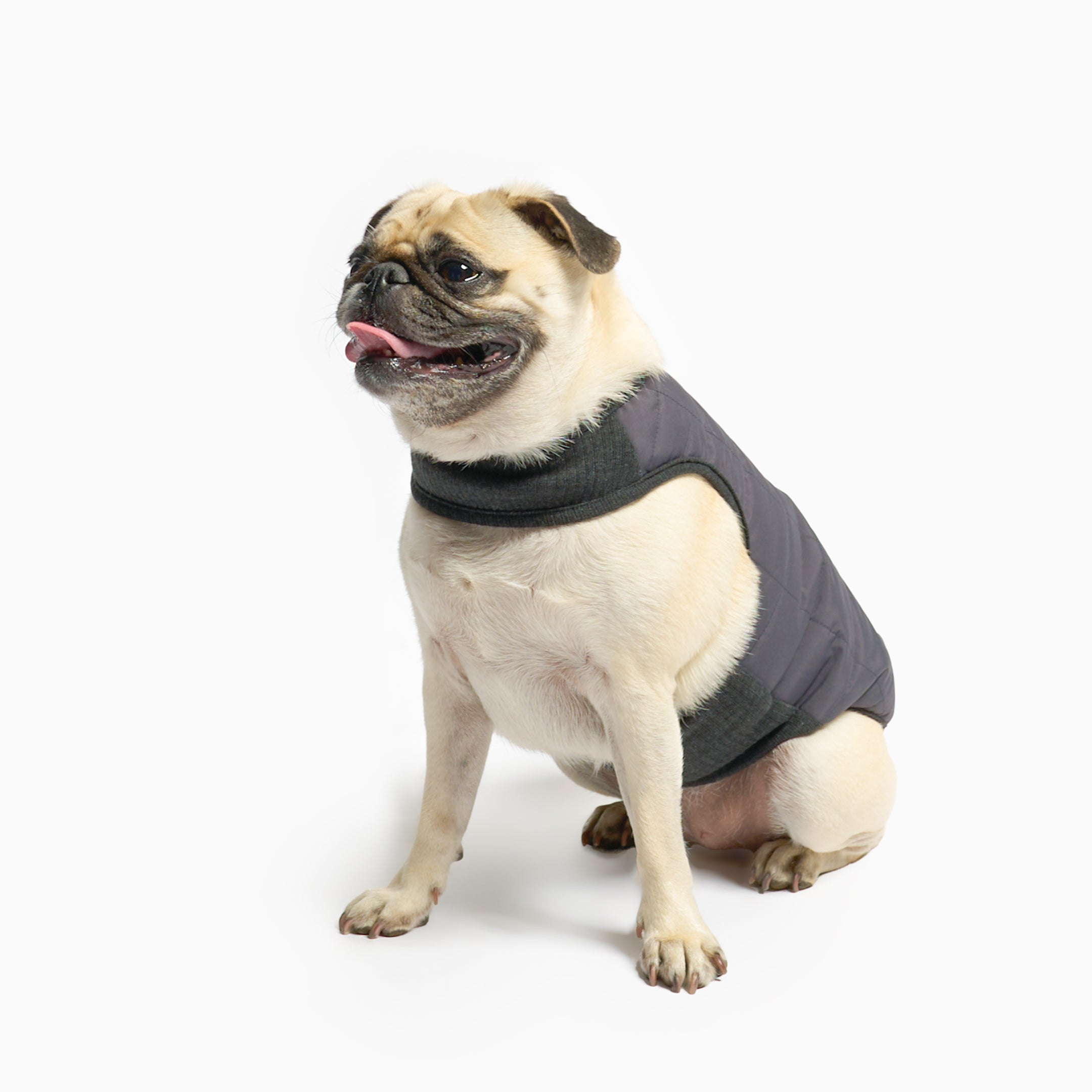 Reversible Puffer Vest Black