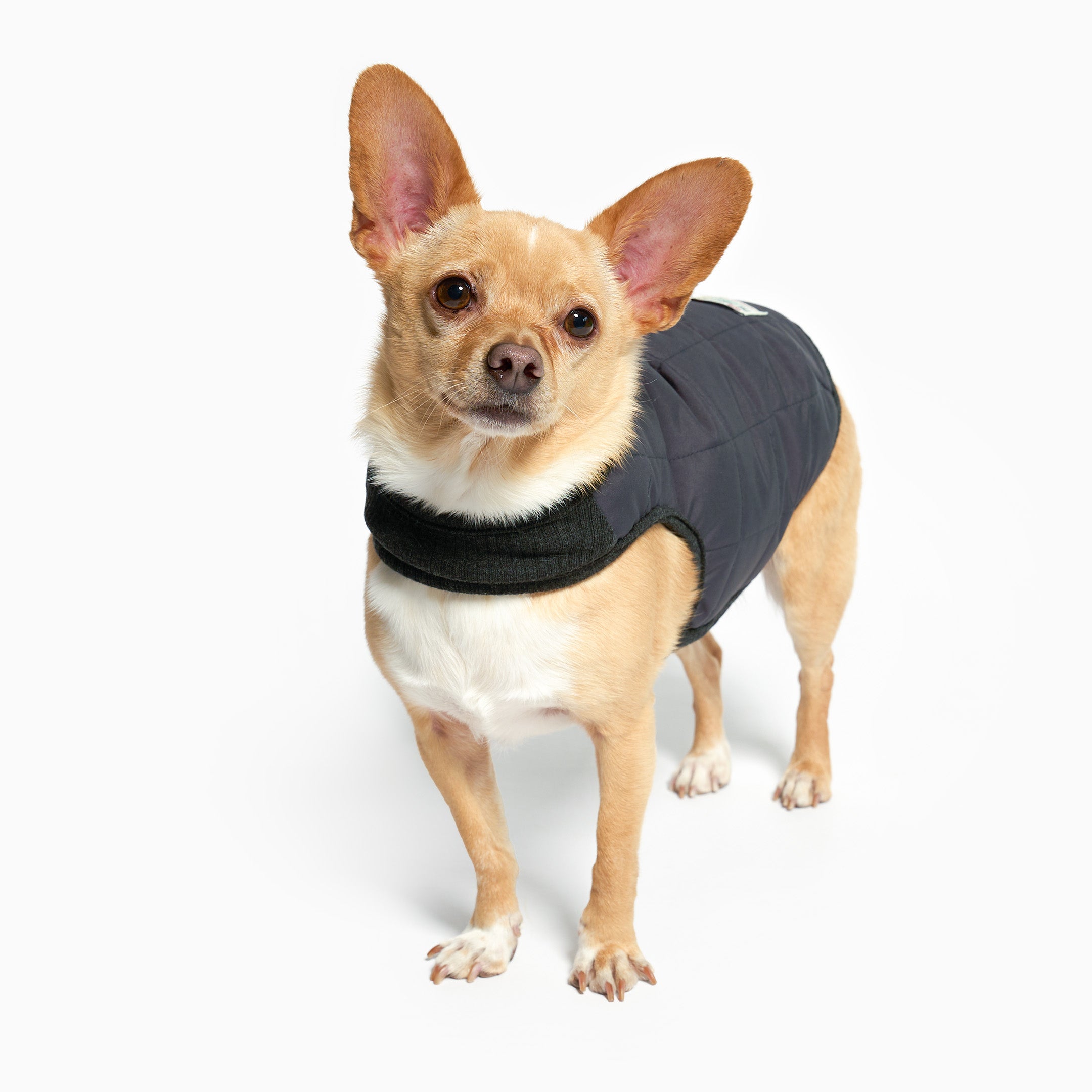 Reversible Puffer Vest Black