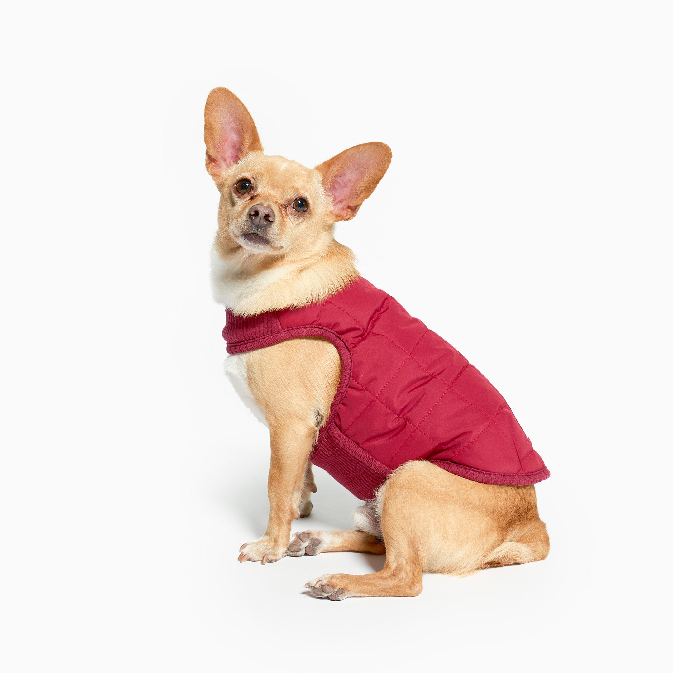 Reversible Puffer Vest Burgundy