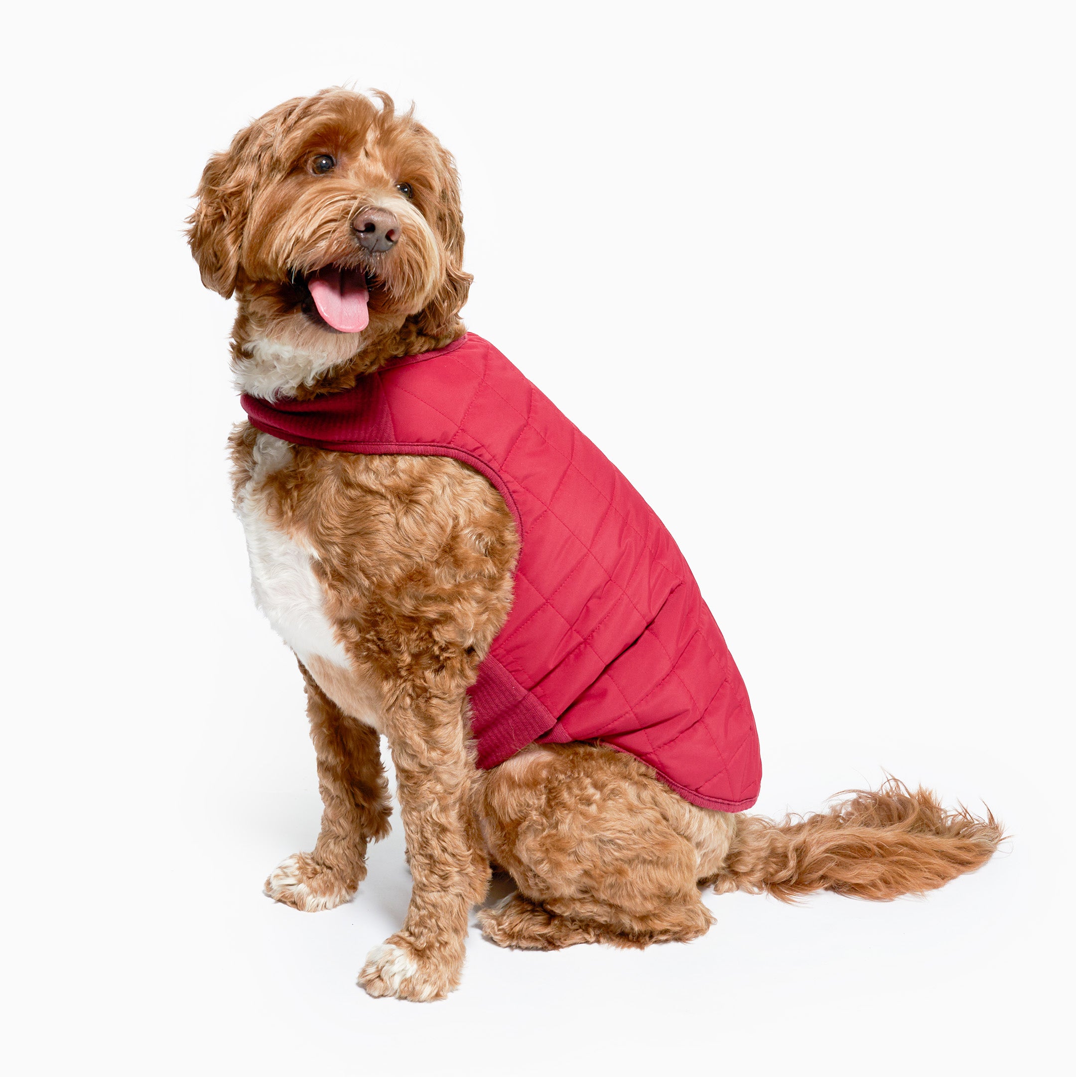 Reversible Puffer Vest Burgundy