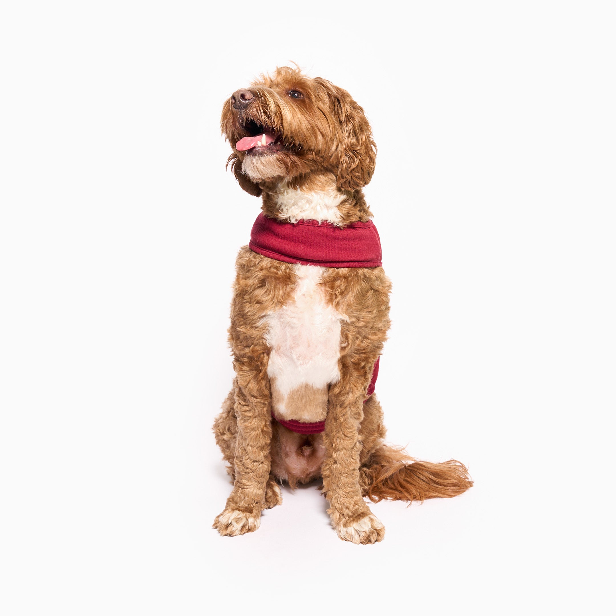 Reversible Puffer Vest Burgundy