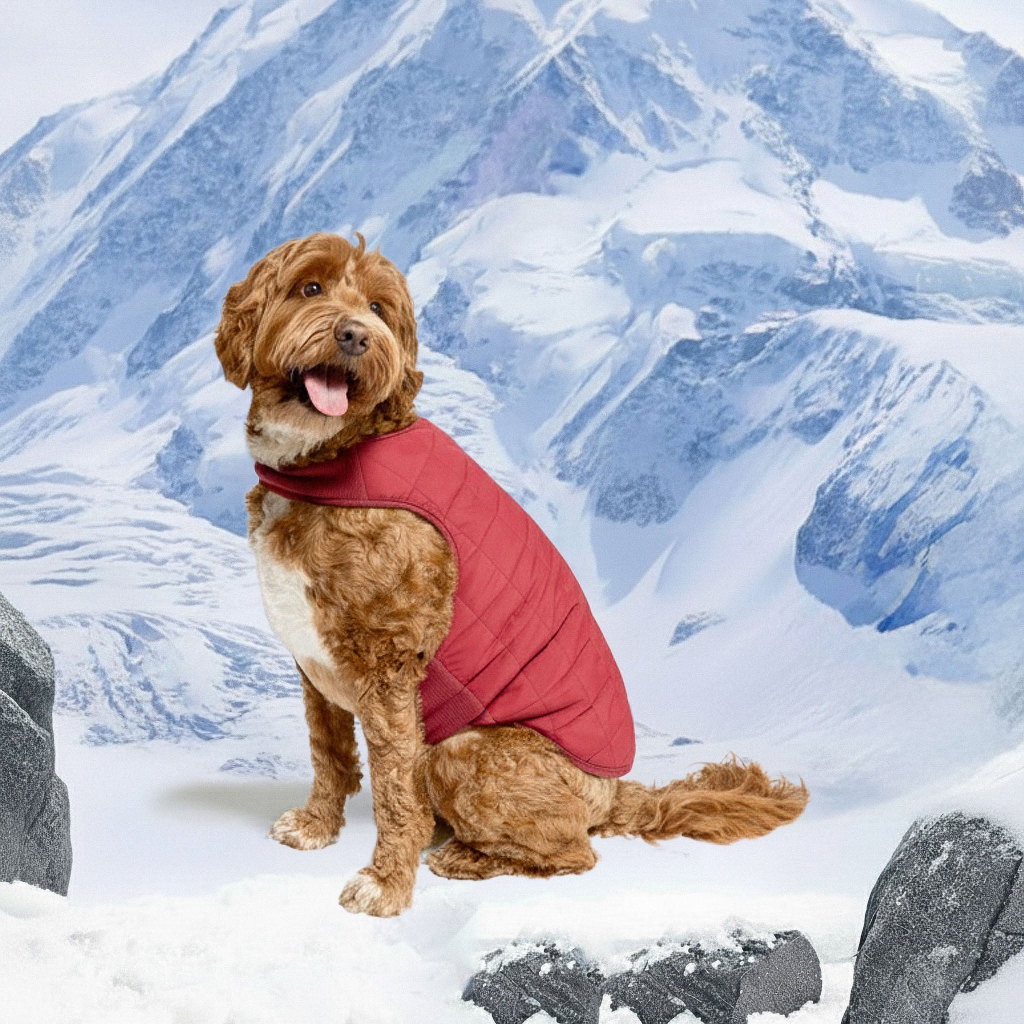 Reversible Puffer Vest Burgundy