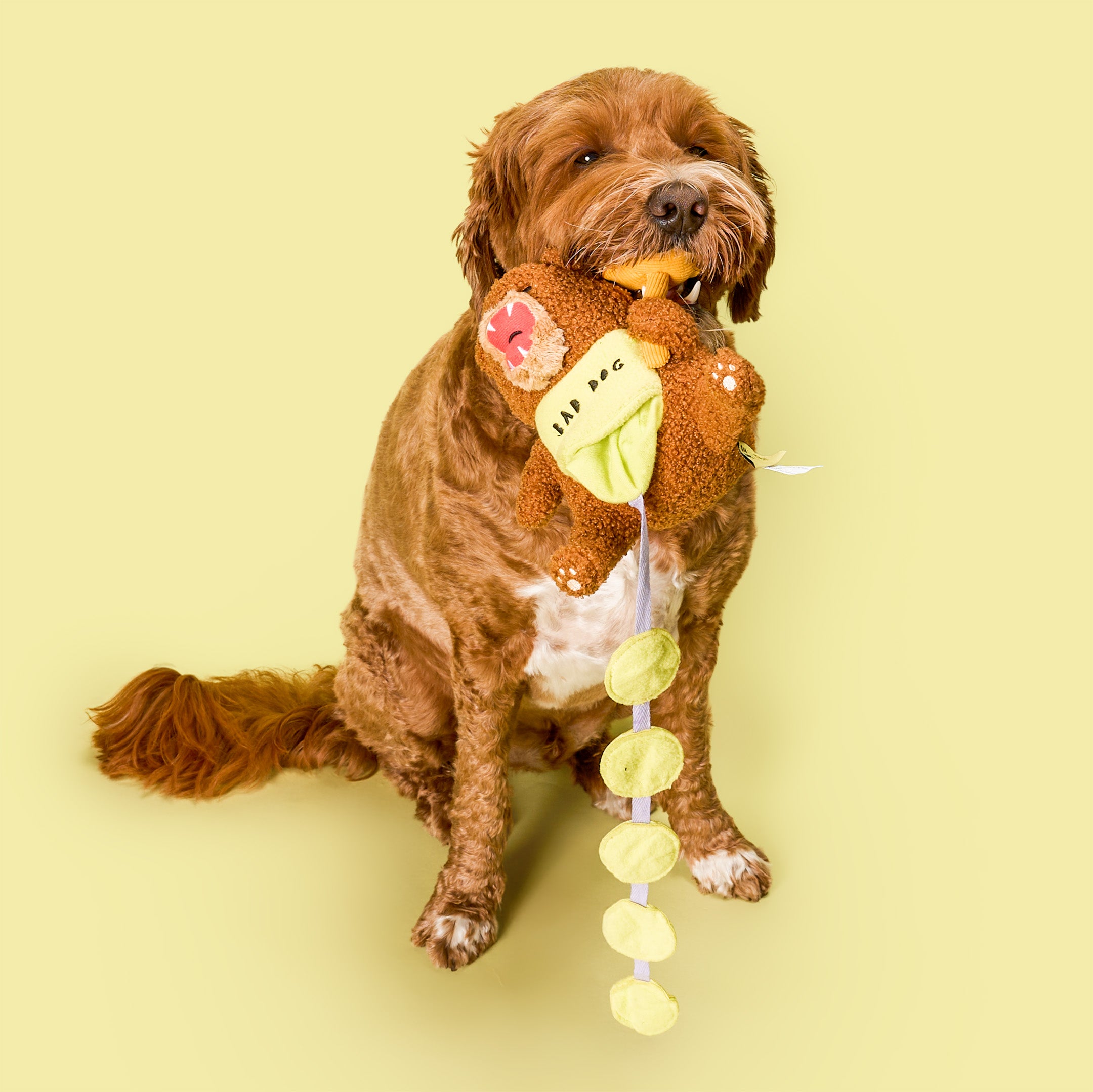 Happy Bear Tofino Nosework Toy