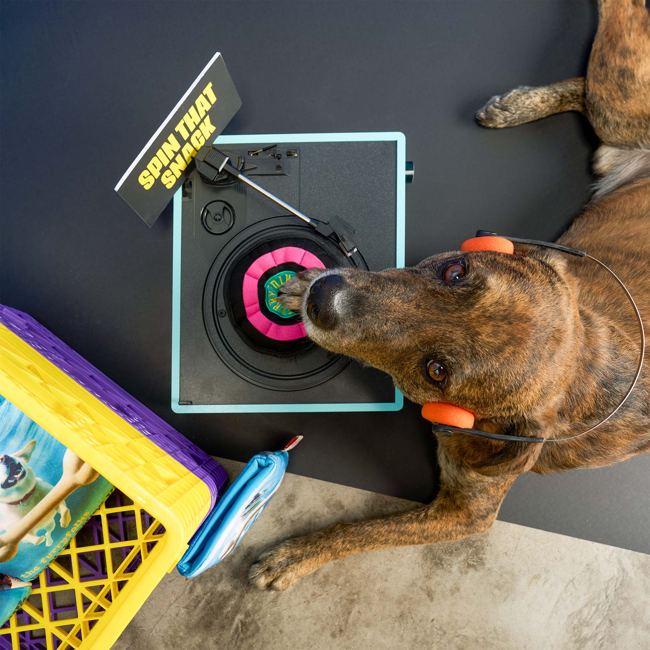 Vinyl Nosework Toy
