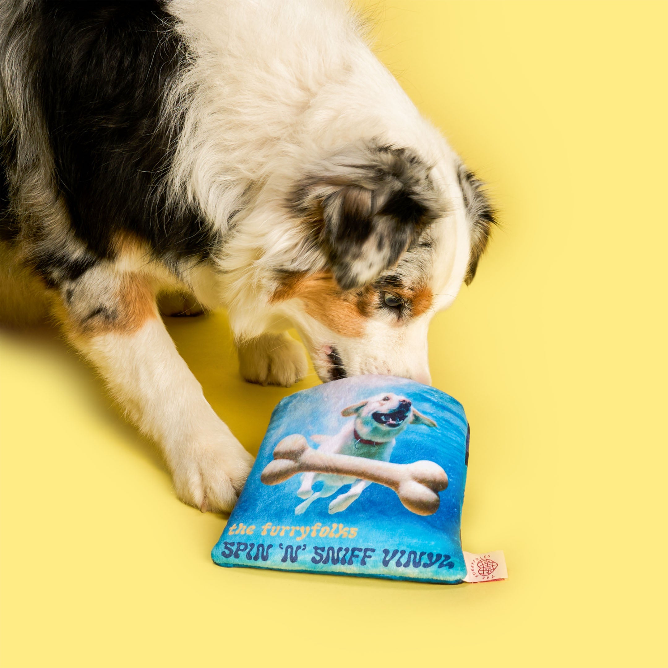 Vinyl Nosework Toy