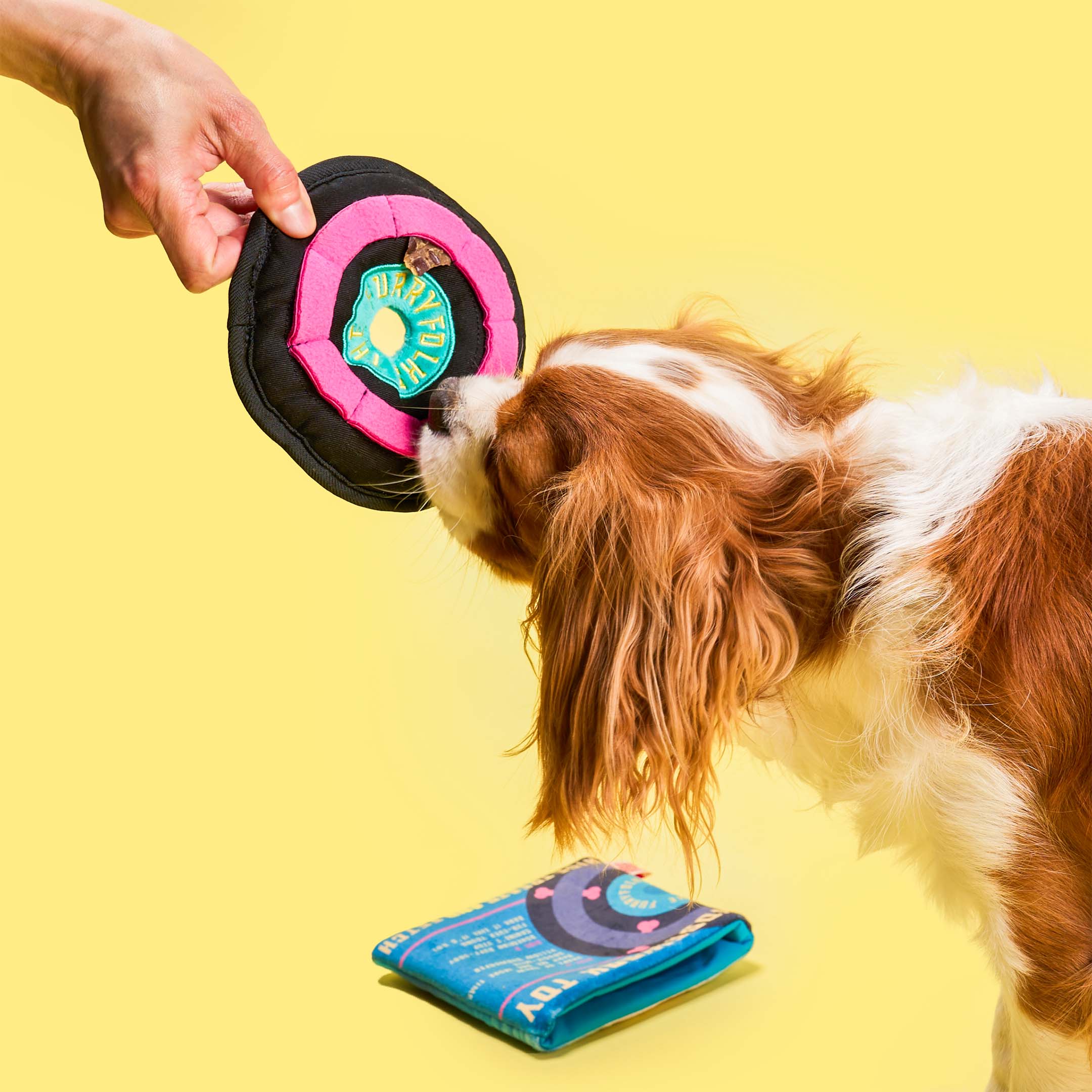 Vinyl Nosework Toy