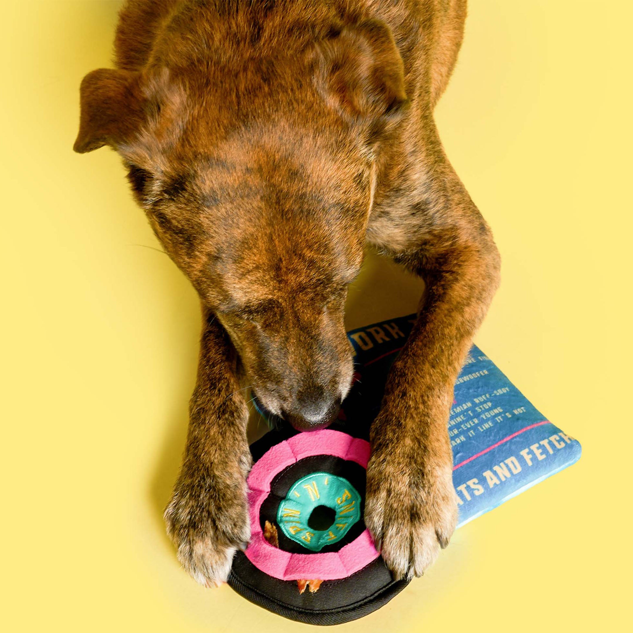 Vinyl Nosework Toy