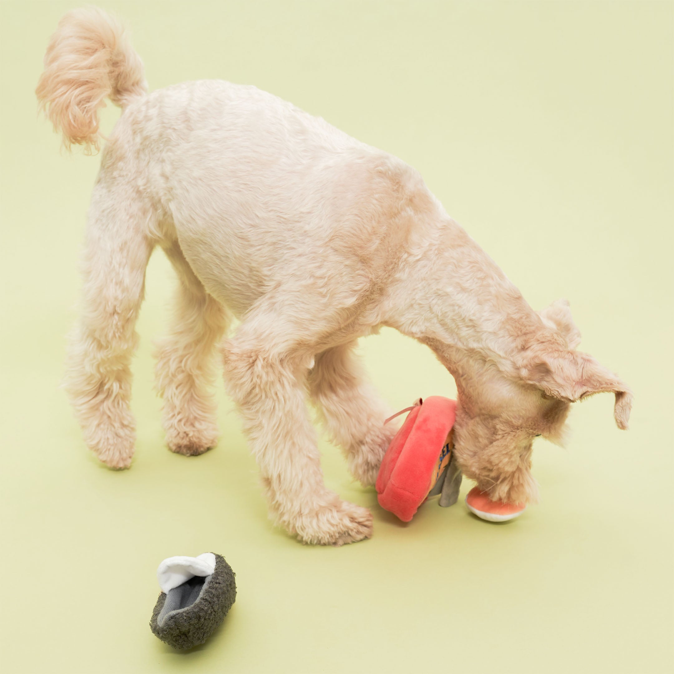 TINNED MUSSEL NOSEWORK TOY