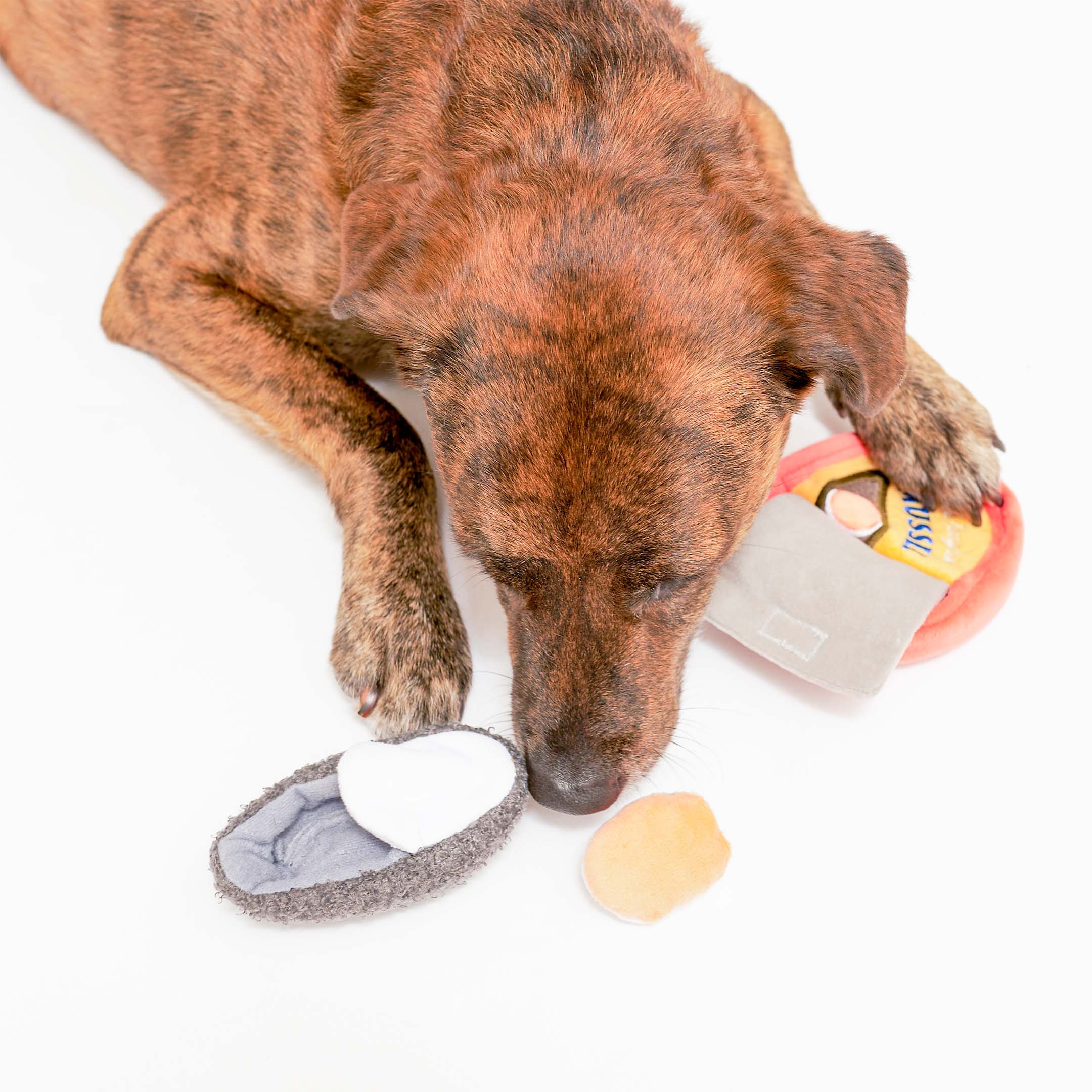 TINNED MUSSEL NOSEWORK TOY