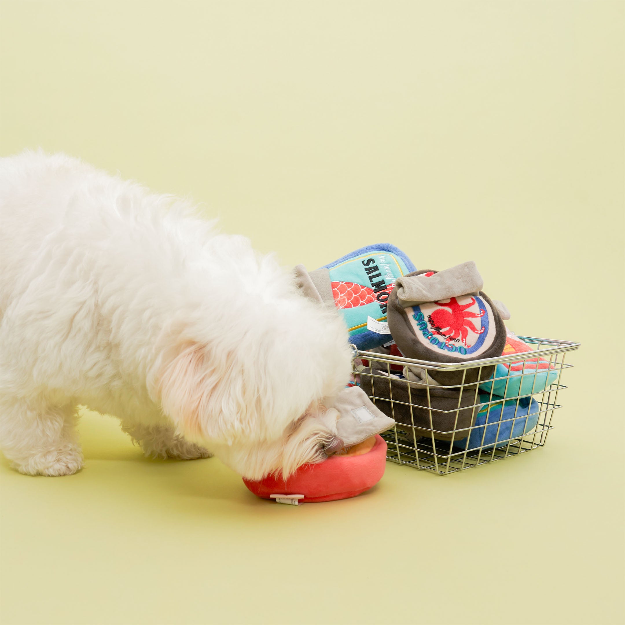 TINNED MUSSEL NOSEWORK TOY