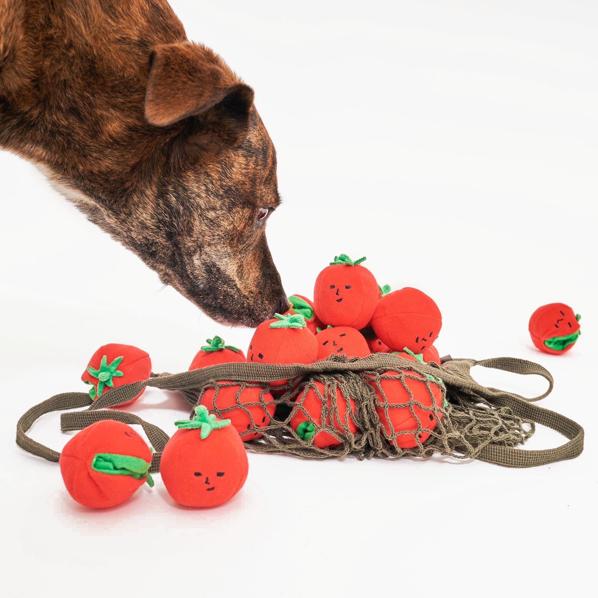 Cherry Tomato Nose Work &amp; Tug Toy