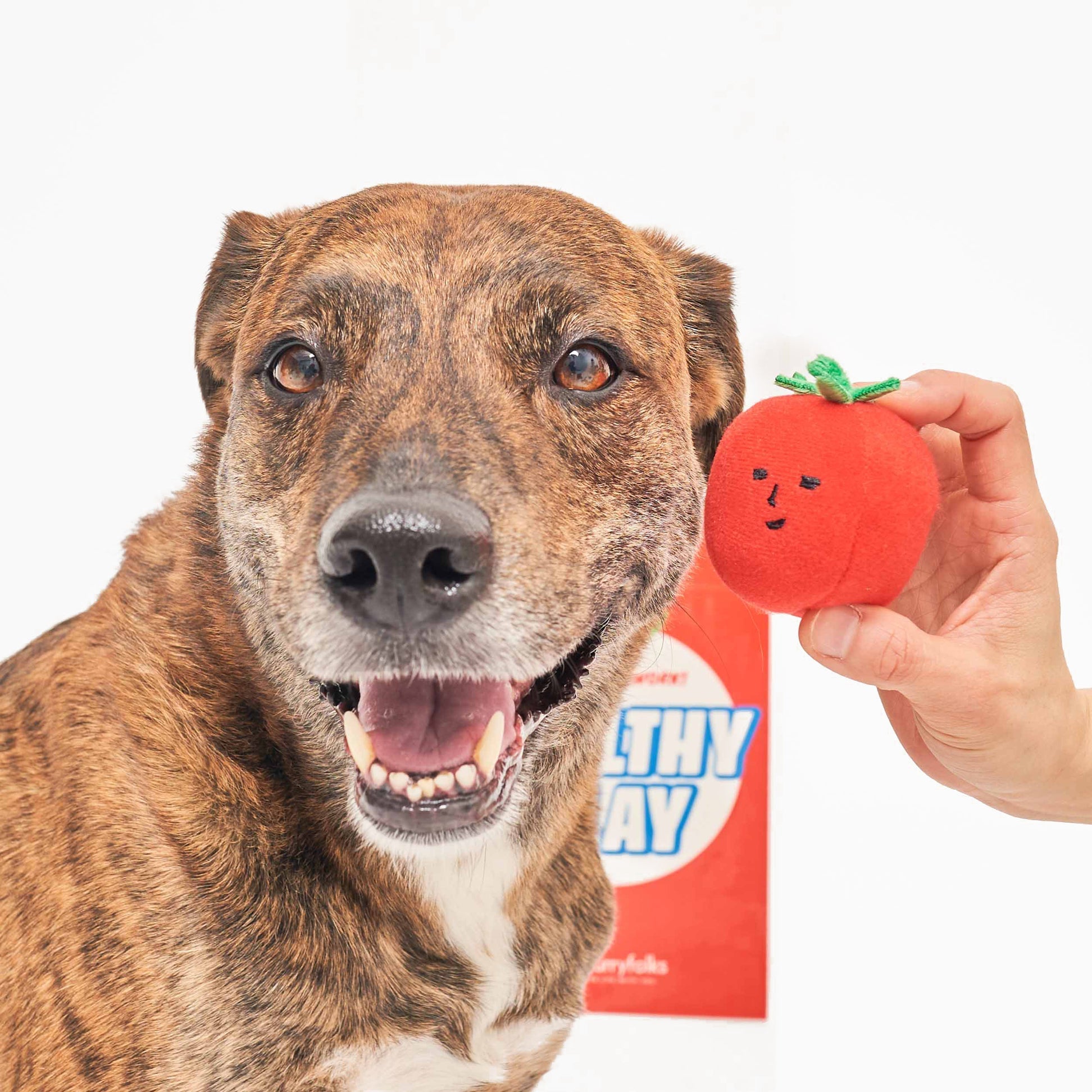 Cherry Tomato Nose Work &amp; Tug Toy