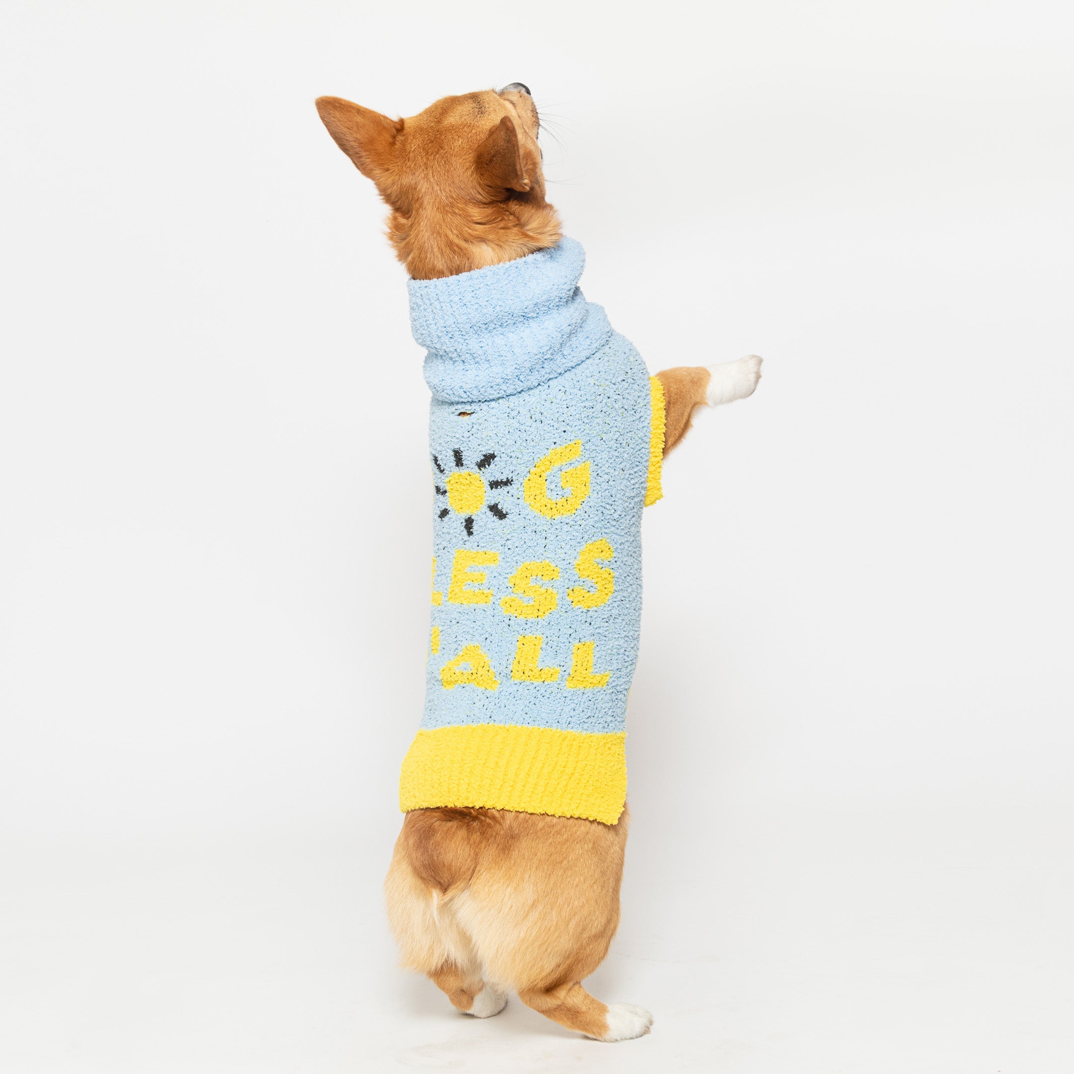 the furryfolks - DOG BLESS Sweater
