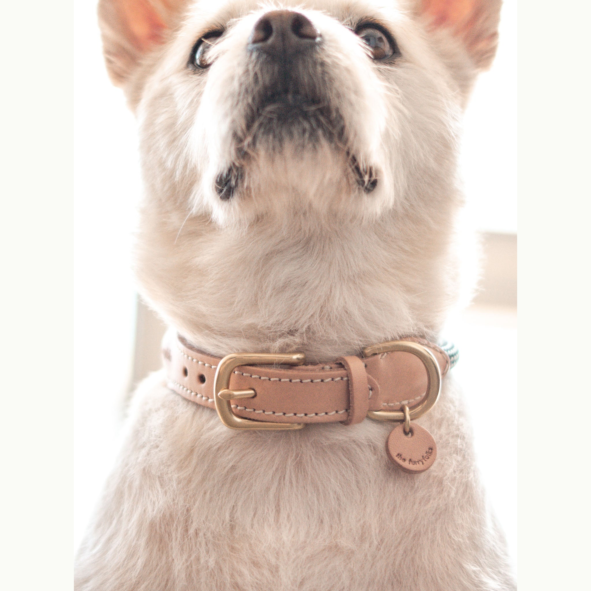 the furryfolks, Rope Collar, Green