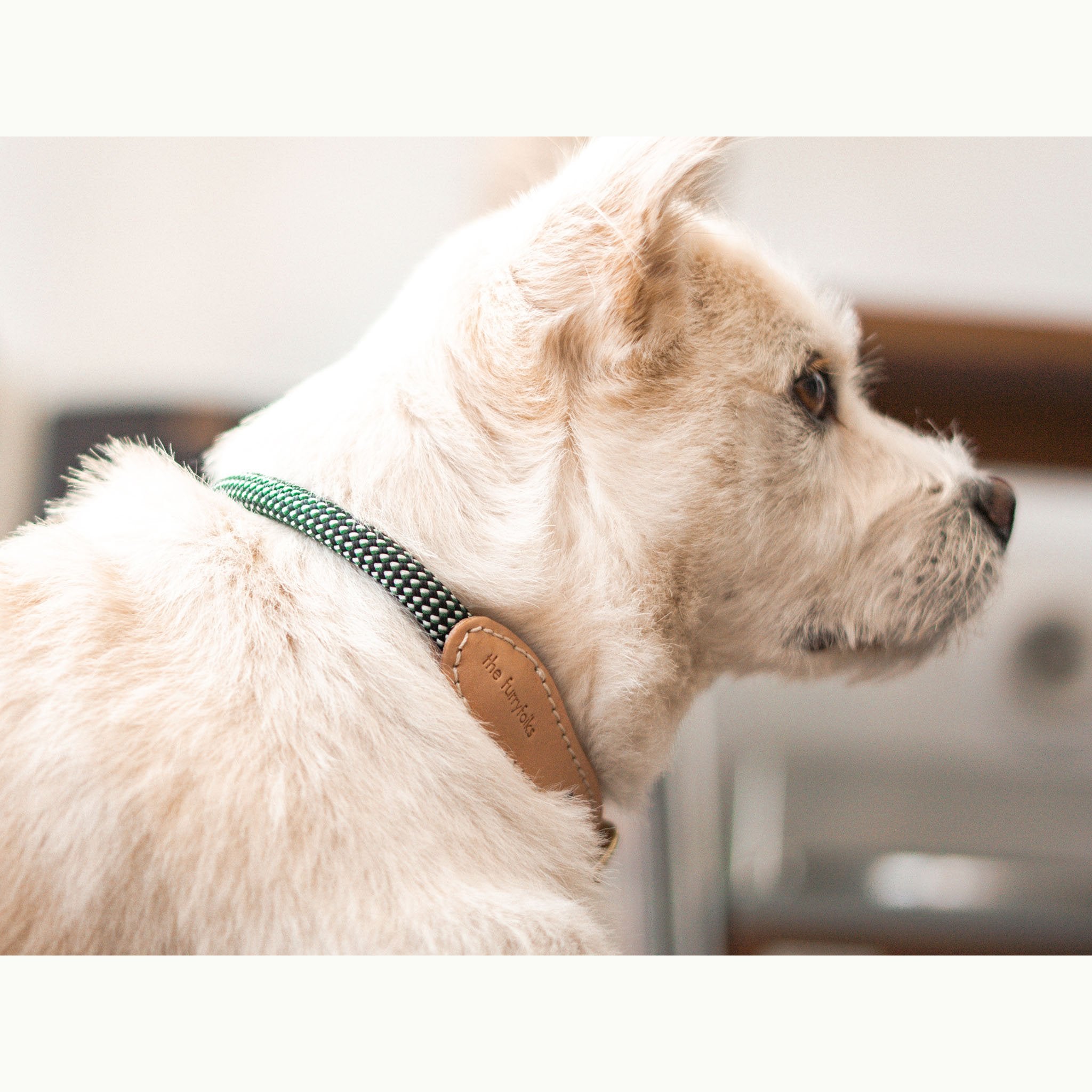 the furryfolks, Rope Collar, Green