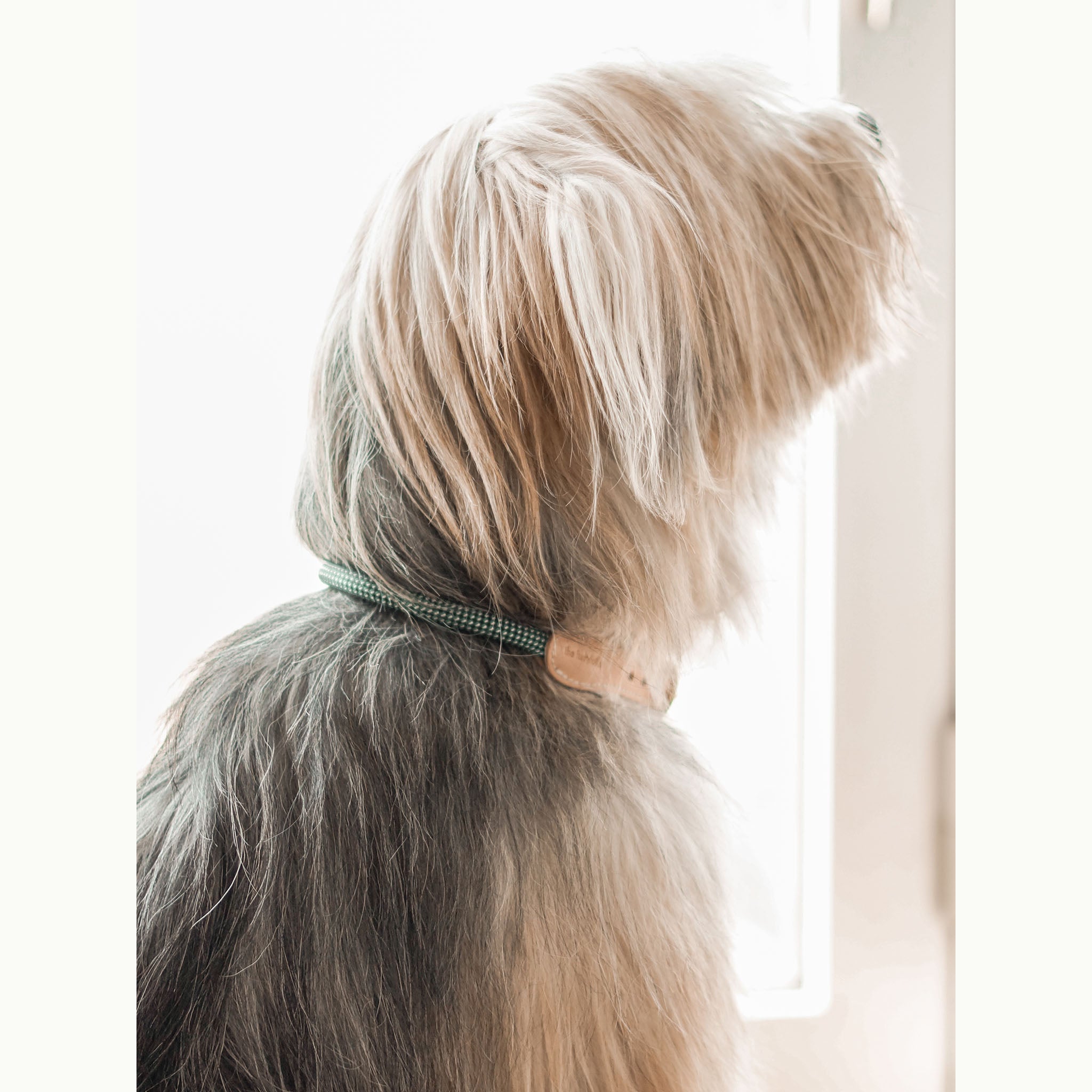 the furryfolks, Rope Collar, Green