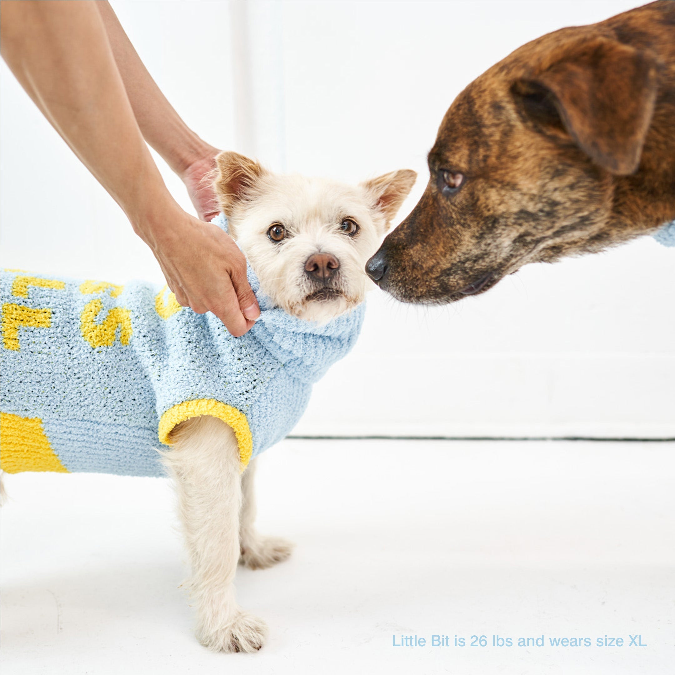 the furryfolks - DOG BLESS Sweater