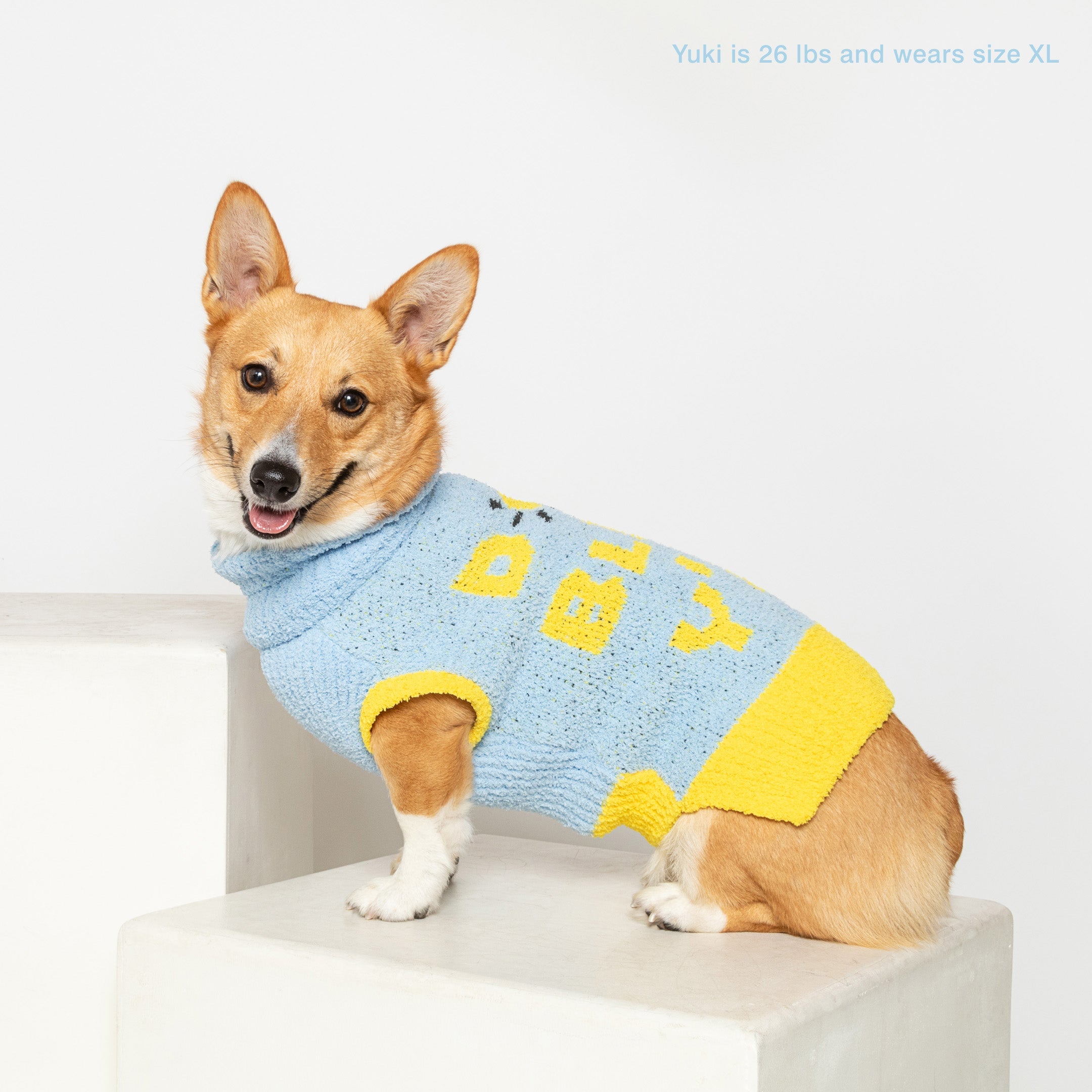 the furryfolks - DOG BLESS Sweater